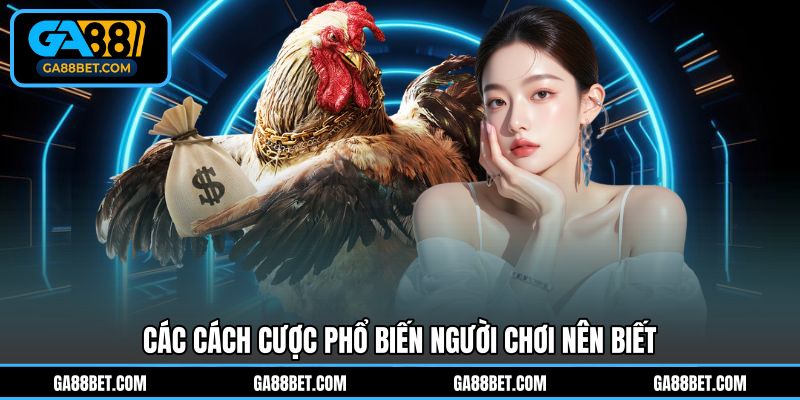 Các cách cược phổ biến người chơi nên biết