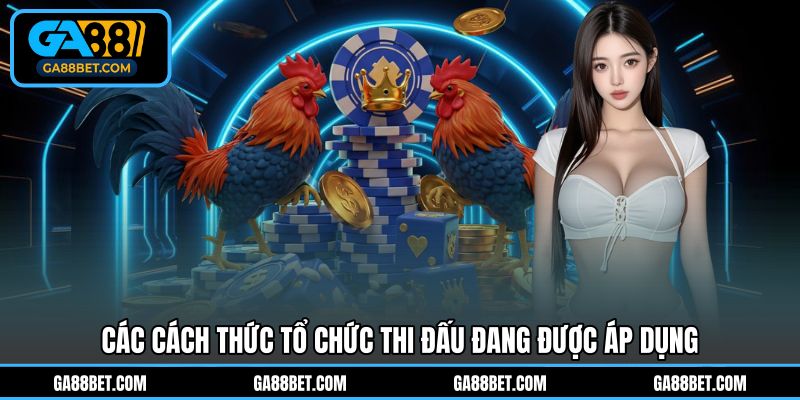 Các cách thức tổ chức thi đấu đang được áp dụng