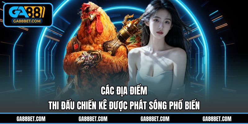 Các địa điểm thi đấu chiến kê được phát sóng phổ biến