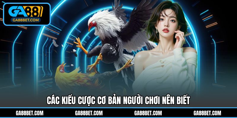 Các kiểu cược cơ bản người chơi nên biết