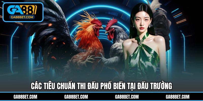 Các tiêu chuẩn thi đấu phổ biến tại đấu trường