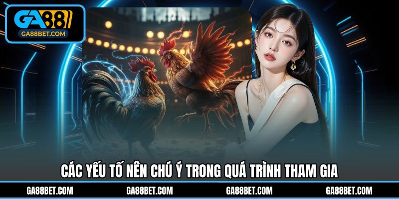 Các yếu tố nên chú ý trong quá trình tham gia