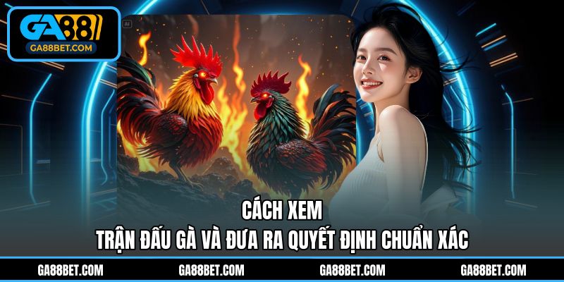 Cách xem trận đấu gà và đưa ra quyết định chuẩn xác