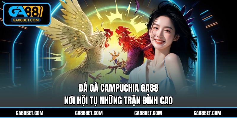 Đá gà Campuchia