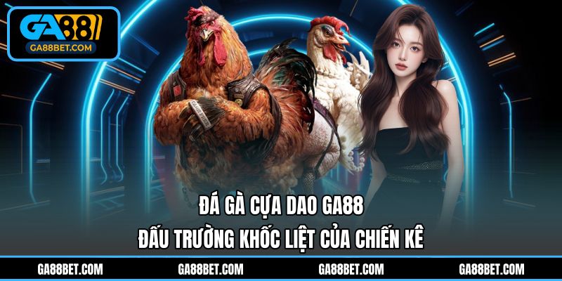 Đá gà cựa dao