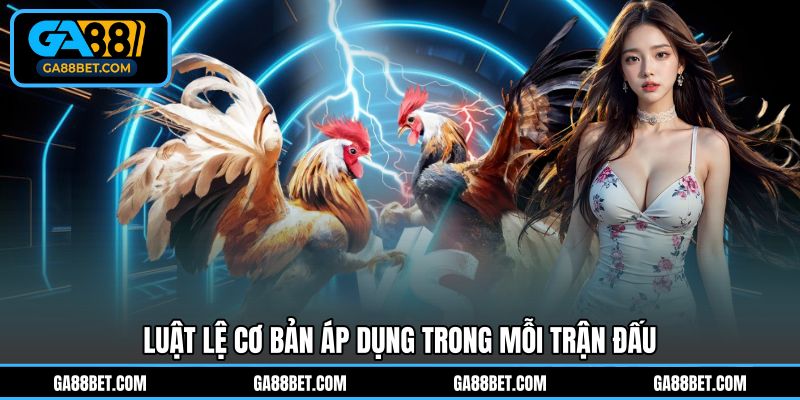 Luật lệ cơ bản áp dụng trong mỗi trận đấu