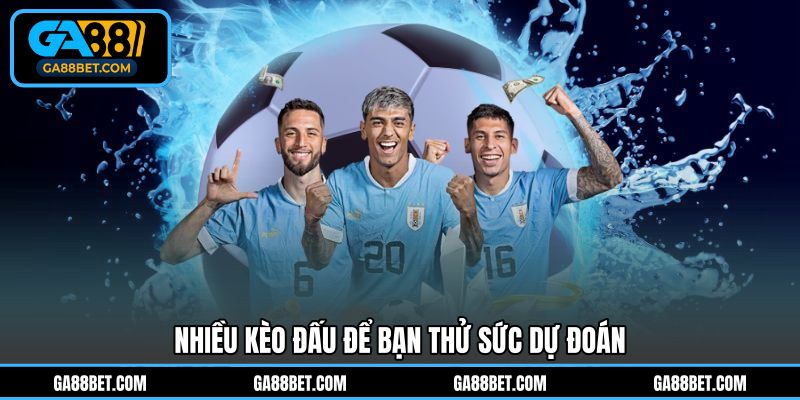 Nhiều kèo đấu để bạn thử sức dự đoán