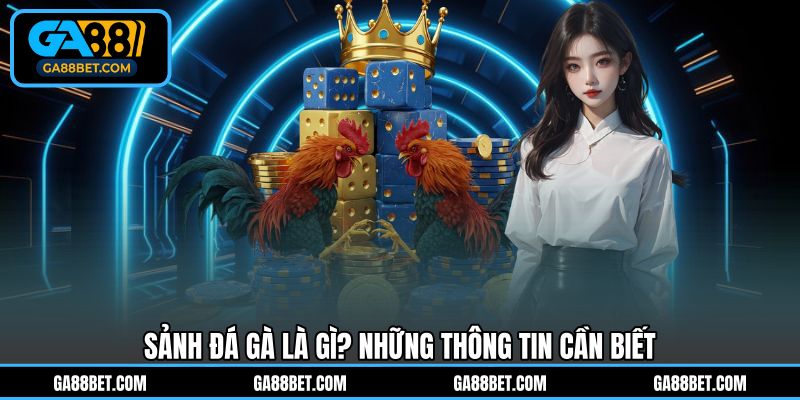 Sảnh đá gà là gì? Những thông tin cần biết