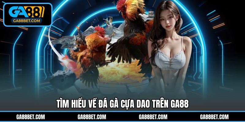 Tìm hiểu về đá gà cựa dao trên GA88